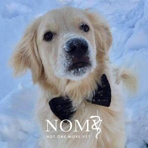 Meet your Posher, Chloe